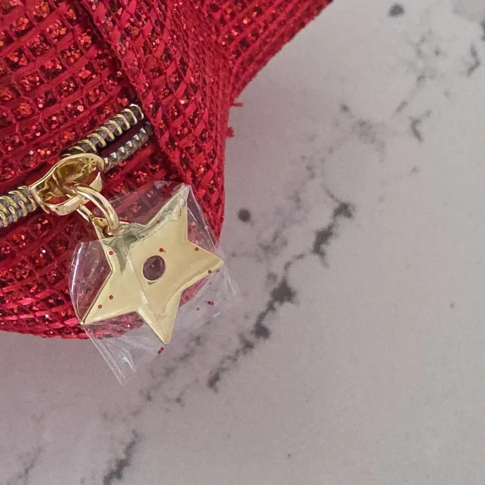 Dior Star Pouch Lunar New Year